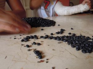 Sorting black beans